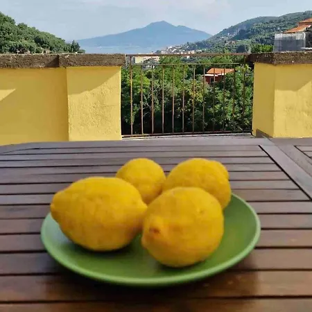 Apartment Attico Paco - Panoramic Terrace On Sorrento Coast *